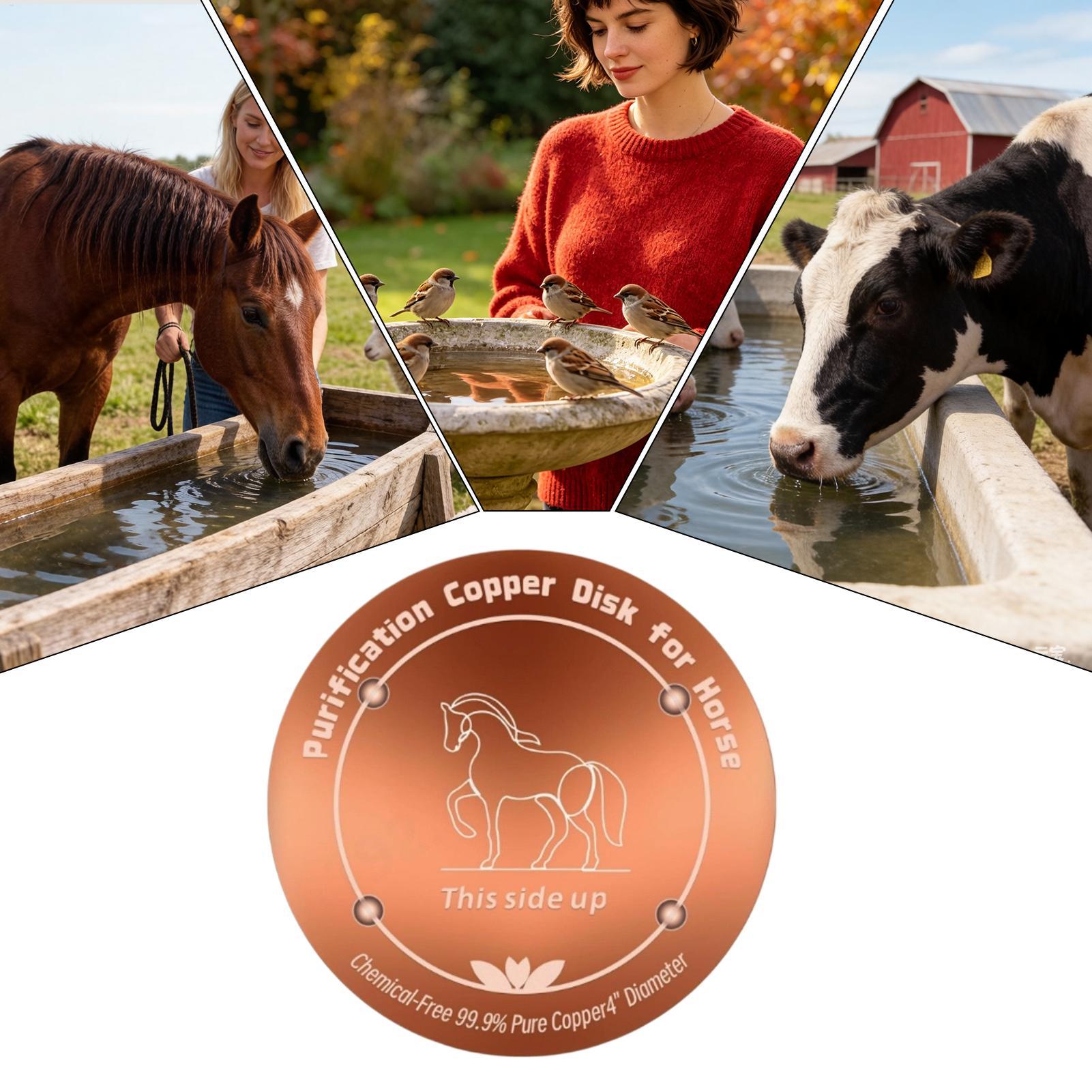 Farming A - Placa Purificadora de Cobre de 4