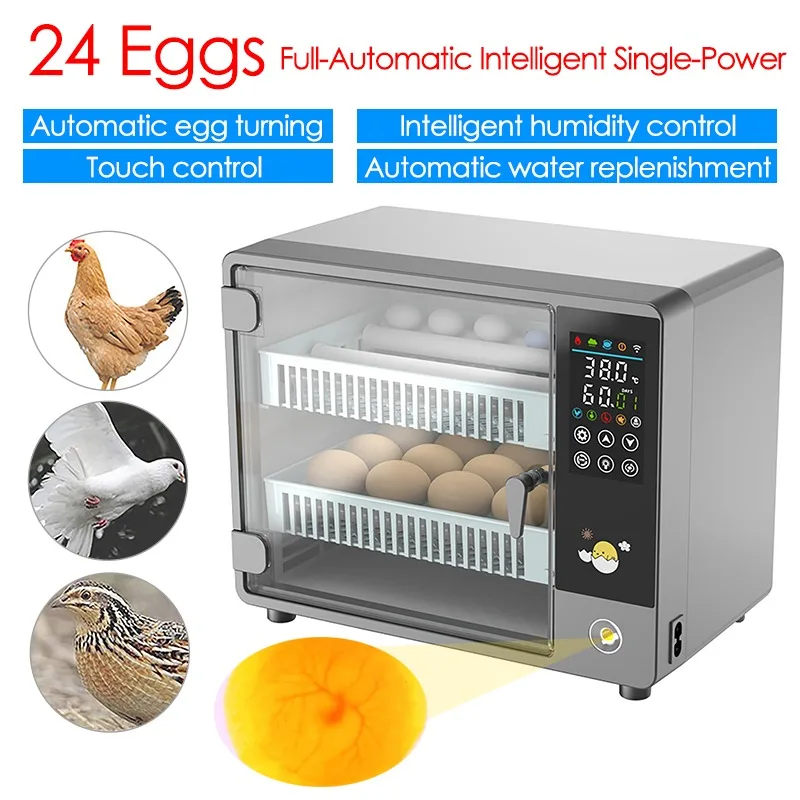 Quail Egg Incubator - 24 ovos incubadora totalmente automática girando