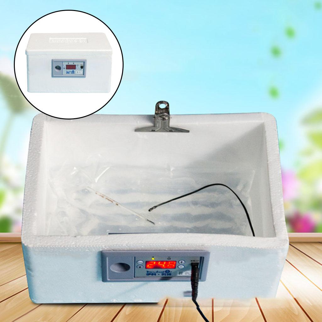Quail Egg Incubator - Incubadora automática de ovos com cedo
