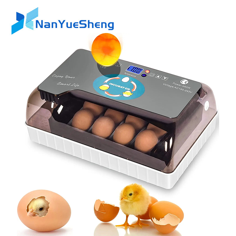 Quail Egg Incubator - Hhd automático melhor digital 12 máquina