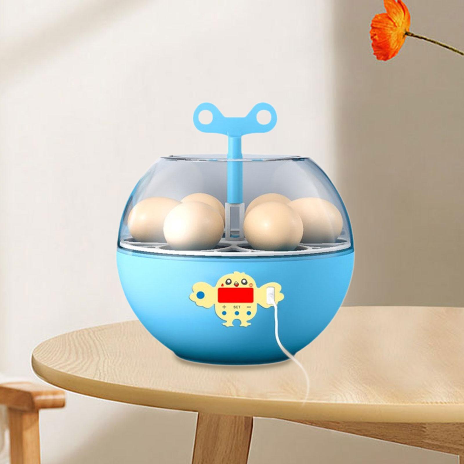 Quail Egg Incubator - Incubadora Mini Visível para 6 Ovos,
