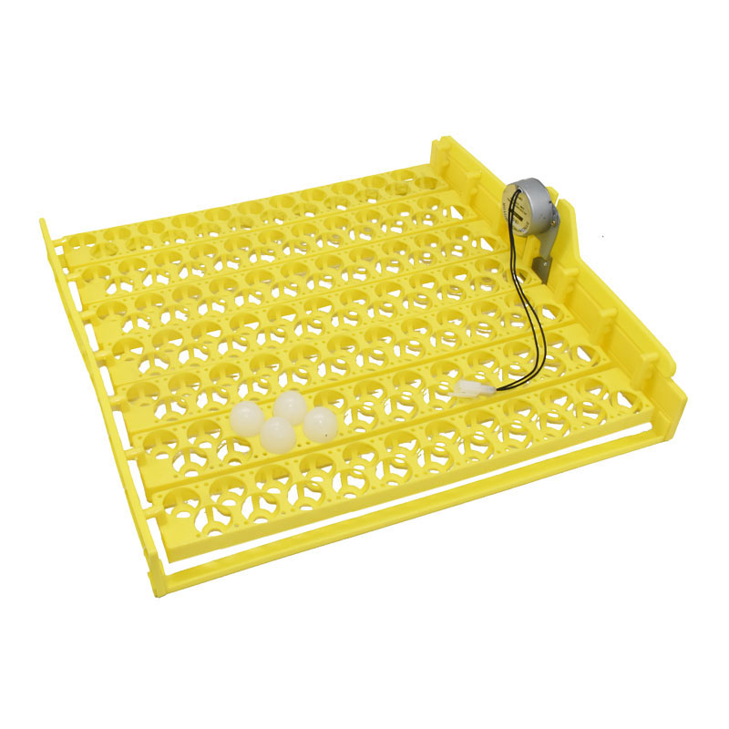 Quail Egg Incubator - Giro automático Egg Incubadora Equipamento, 154