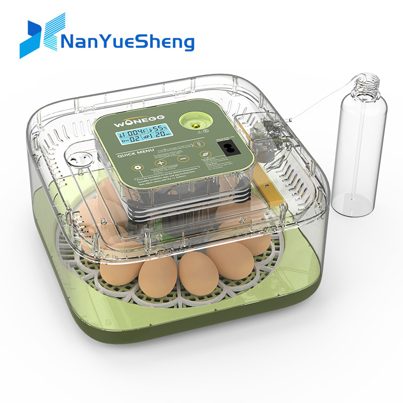 Quail Egg Incubator - Novo 12 máquina de incubação de