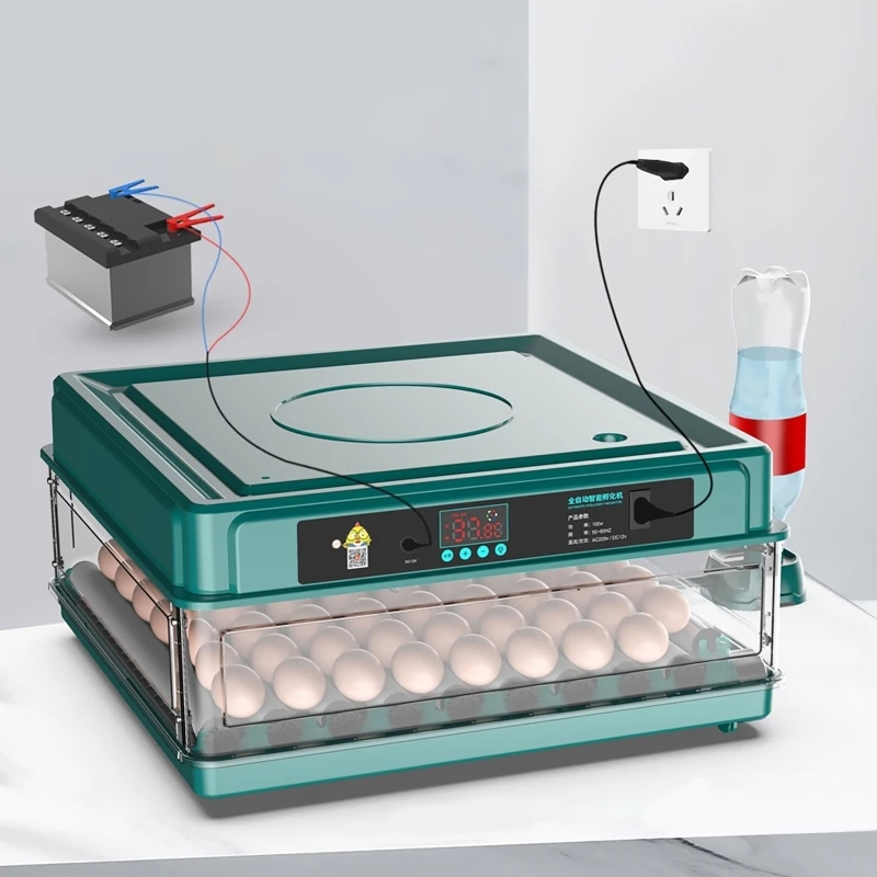 Quail Egg Incubator - Auto Incubadora de Ovos com Controle