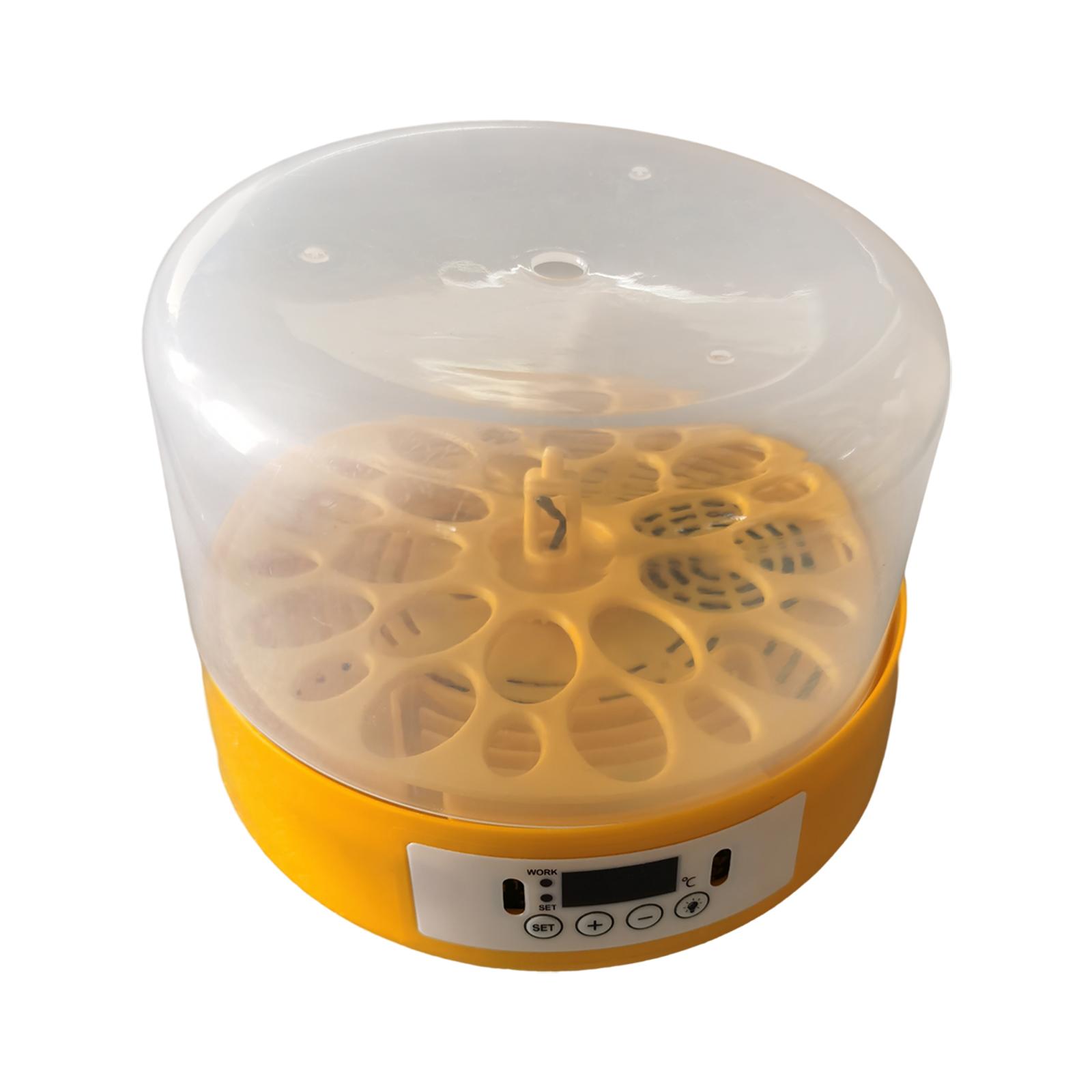 Incubadora de ovos, turner de  - Quail Egg Incubator avaliação e preço