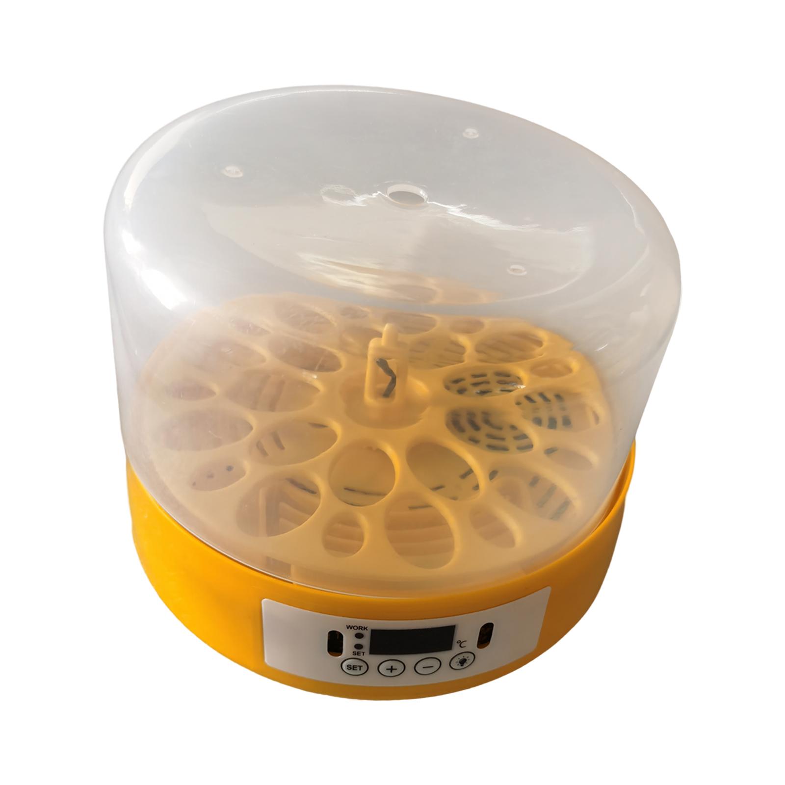 Incubadora de ovos, turner de  - Quail Egg Incubator avaliação e preço
