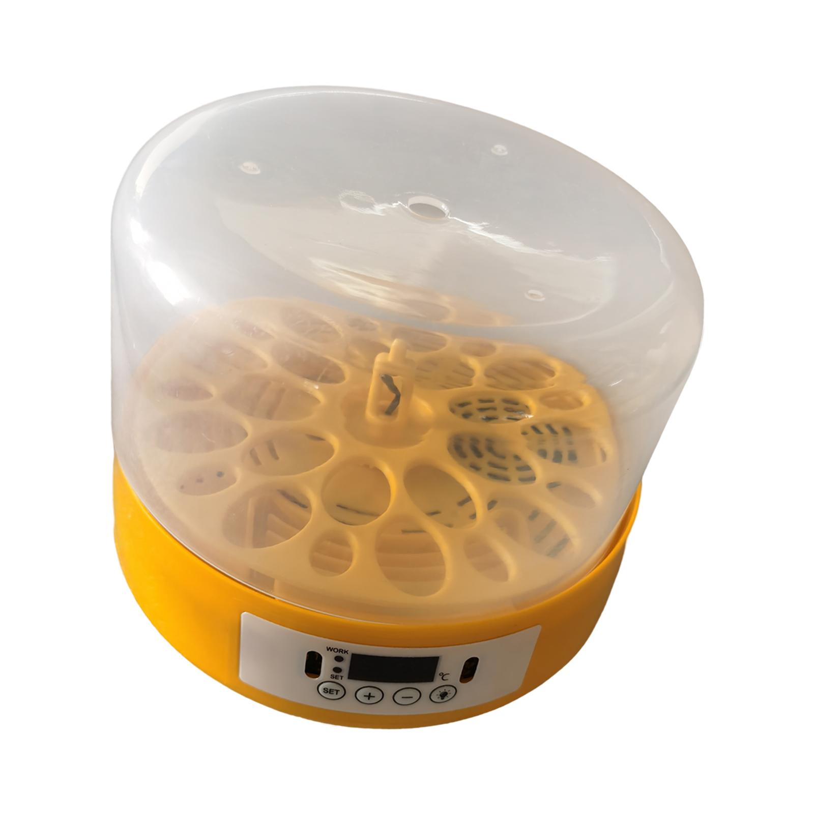 Incubadora de ovos, turner de  - Quail Egg Incubator avaliação e preço