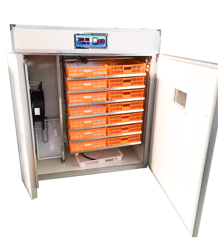 Controlador para Incubadora de - Quail Egg Incubator avaliação e preço