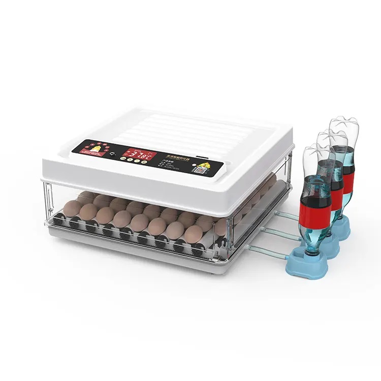 Incubadoras de Ovos Totalmente - Quail Egg Incubator avaliação e preço