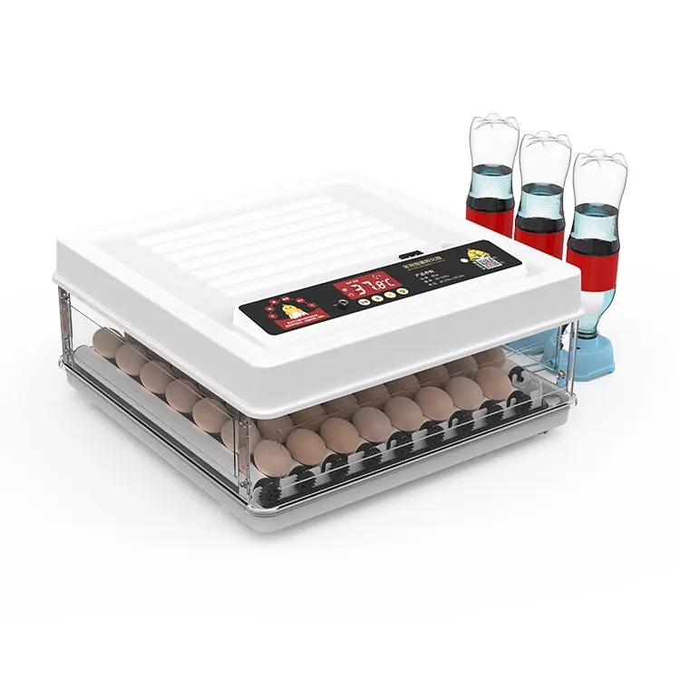 Incubadoras de Ovos Totalmente - Quail Egg Incubator avaliação e preço