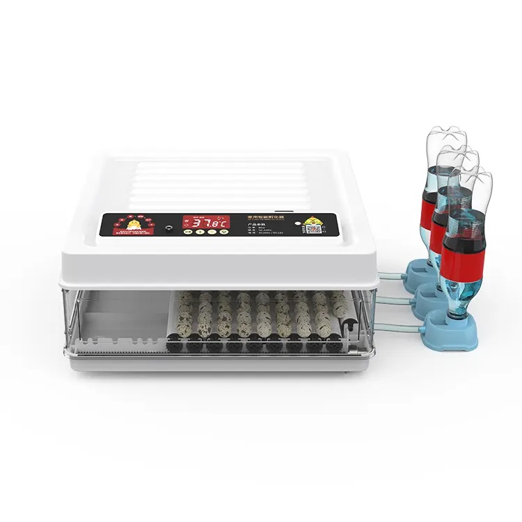 Incubadoras de Ovos Totalmente - Quail Egg Incubator avaliação e preço