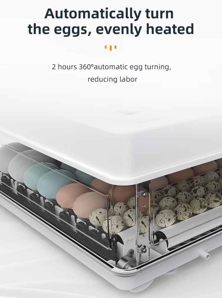 Incubadoras de Ovos Totalmente - Quail Egg Incubator avaliação e preço