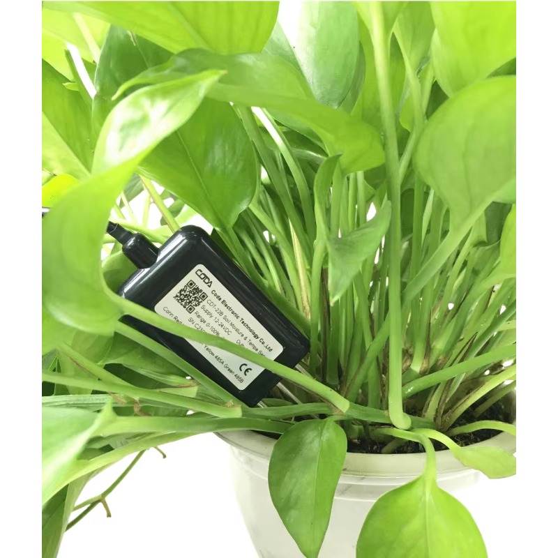 Medidor portátil de umidade do - Soil Moisture Sensor avaliação e preço