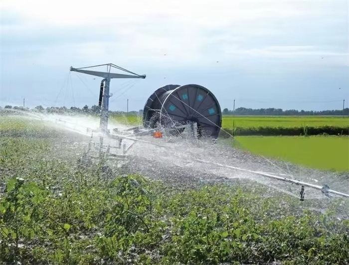 Fornecimento de fábrica de gra - Agriculture Farming New Technology avaliação e preço