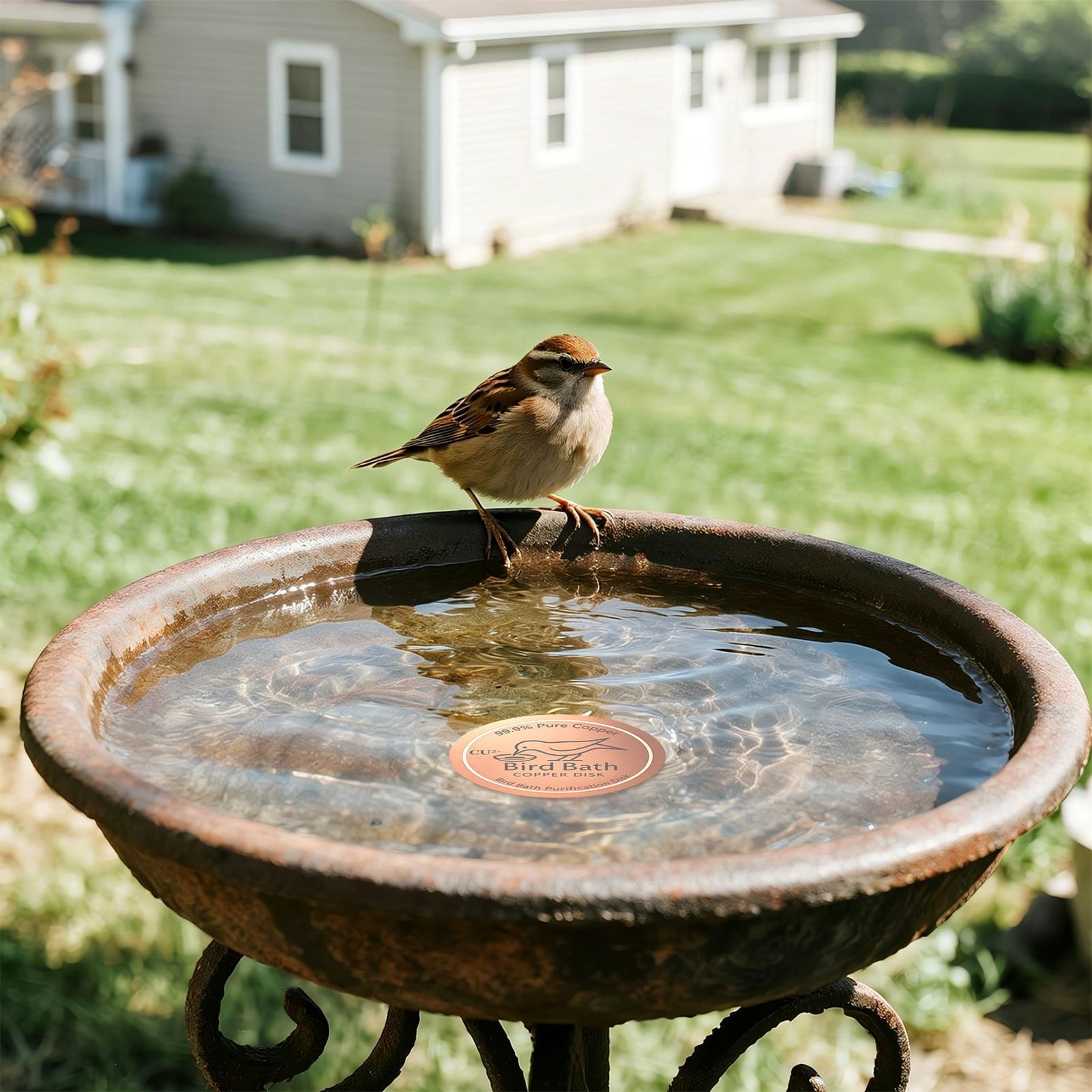 Disco de Cobre para Banho de P - Farming A avaliação e preço