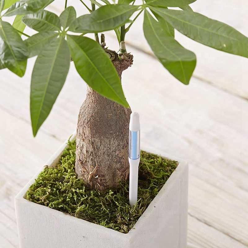 Aquameter, 5 peças, Sensor de  - Soil Moisture Sensor avaliação e preço