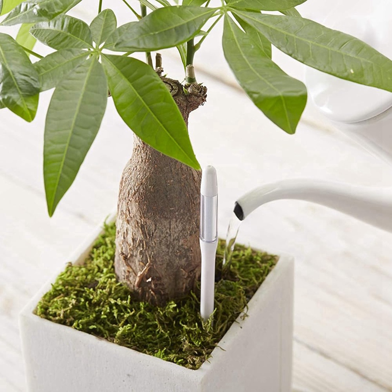 Aquameter, 5 peças, Sensor de  - Soil Moisture Sensor avaliação e preço