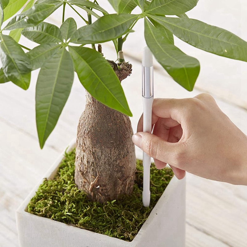 Aquameter, 5 peças, Sensor de  - Soil Moisture Sensor avaliação e preço