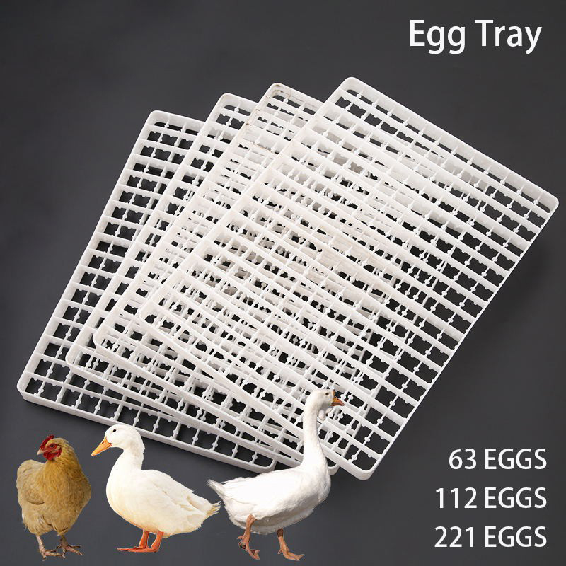 1pcs ovo bandeja para incubado - Quail Egg Incubator avaliação e preço