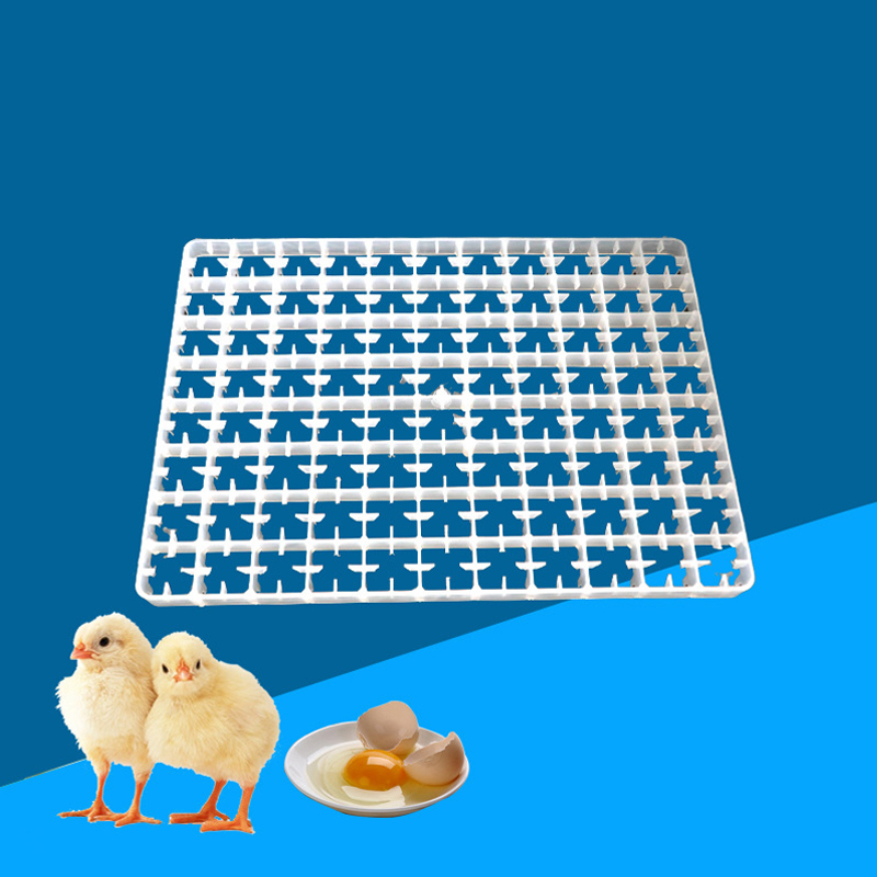 1pcs ovo bandeja para incubado - Quail Egg Incubator avaliação e preço