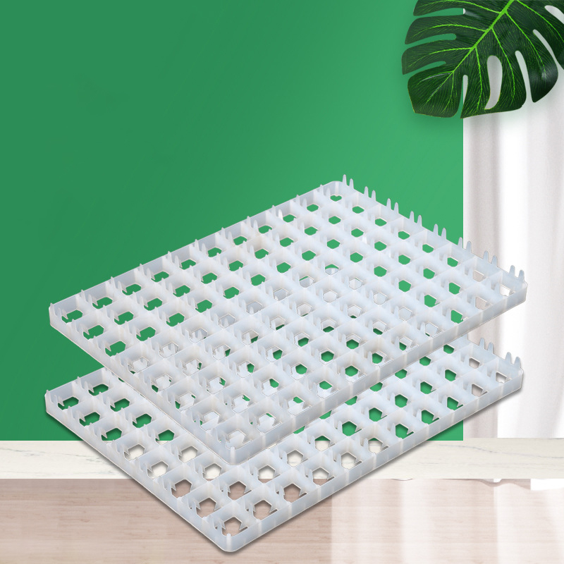 1pcs ovo bandeja para incubado - Quail Egg Incubator avaliação e preço