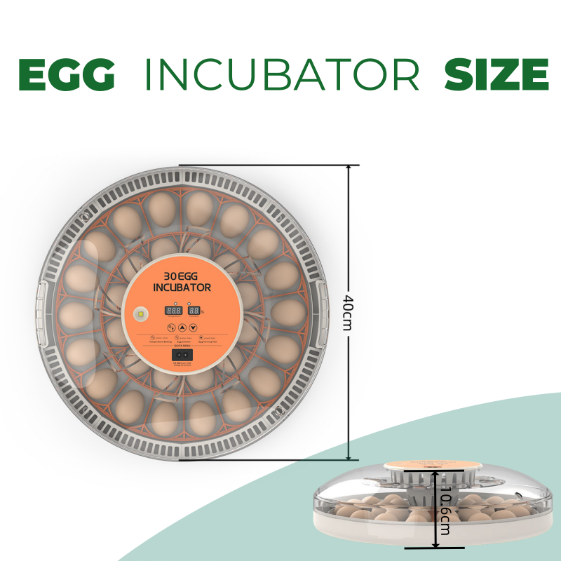 Incubadora de Ovos STLF30 para - Quail Egg Incubator avaliação e preço