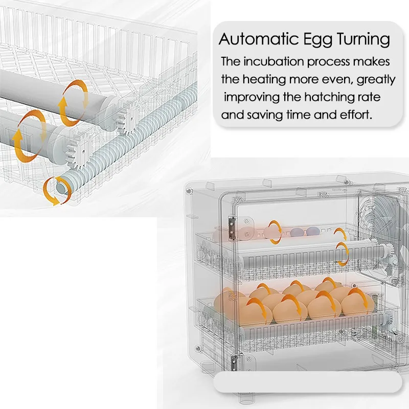 24 ovos incubadora totalmente  - Quail Egg Incubator avaliação e preço