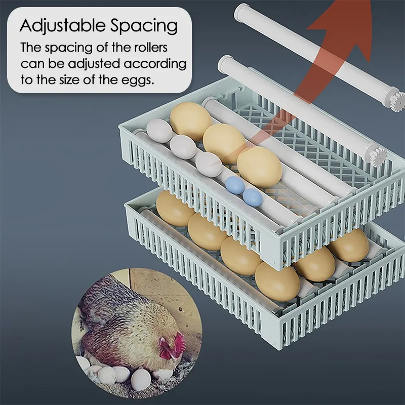 24 ovos incubadora totalmente  - Quail Egg Incubator avaliação e preço