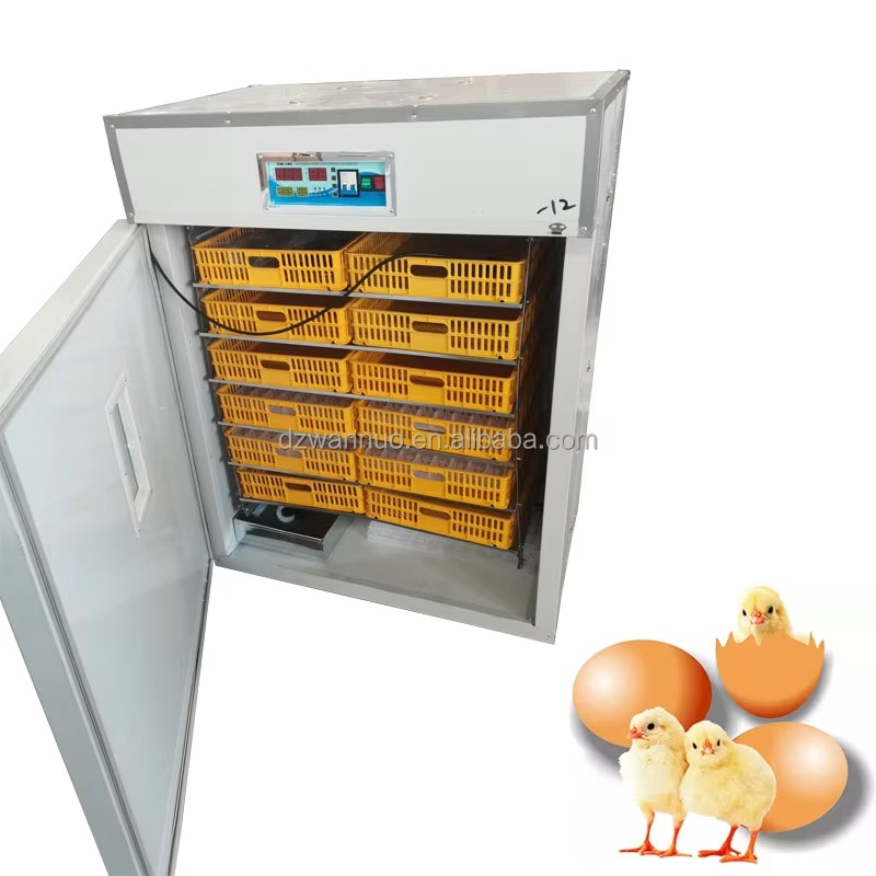 Incubadora Industrial Automáti - Quail Egg Incubator avaliação e preço