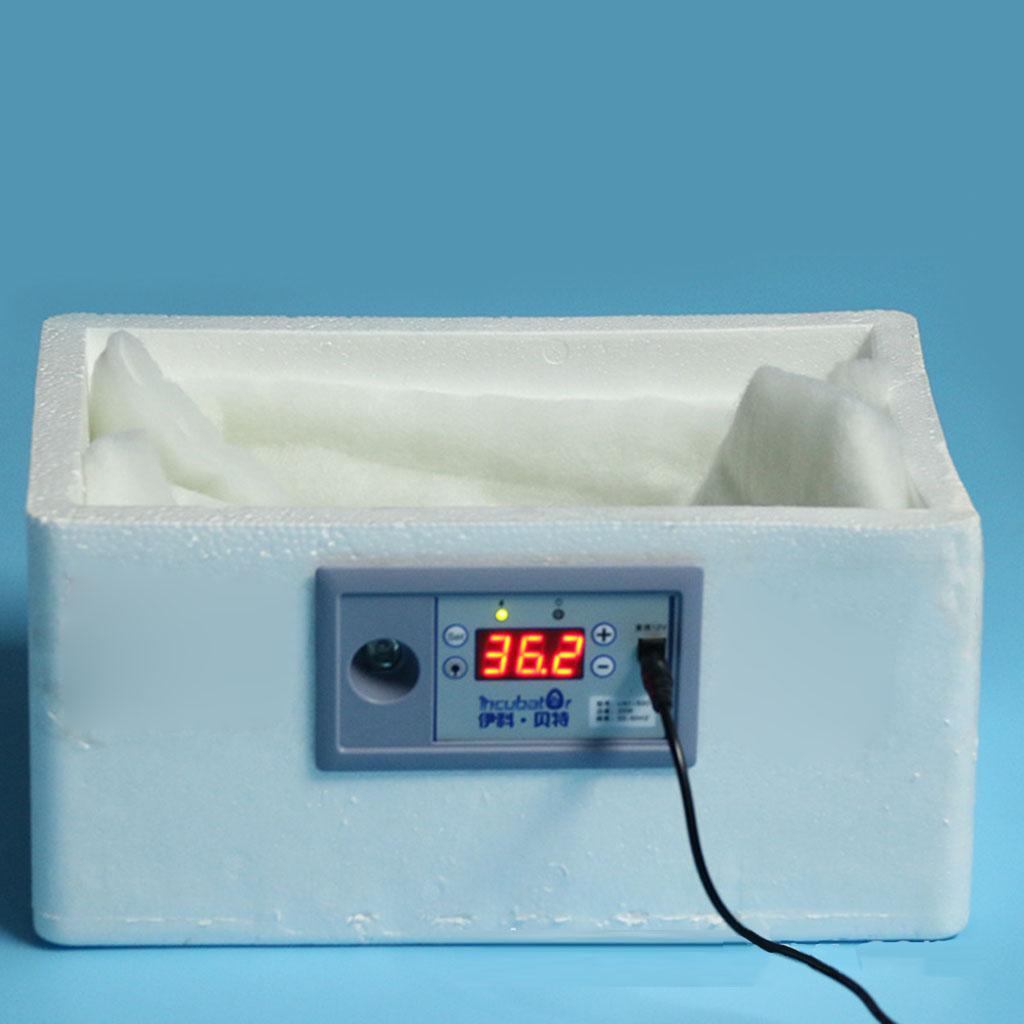 Incubadora automática de ovos  - Quail Egg Incubator avaliação e preço