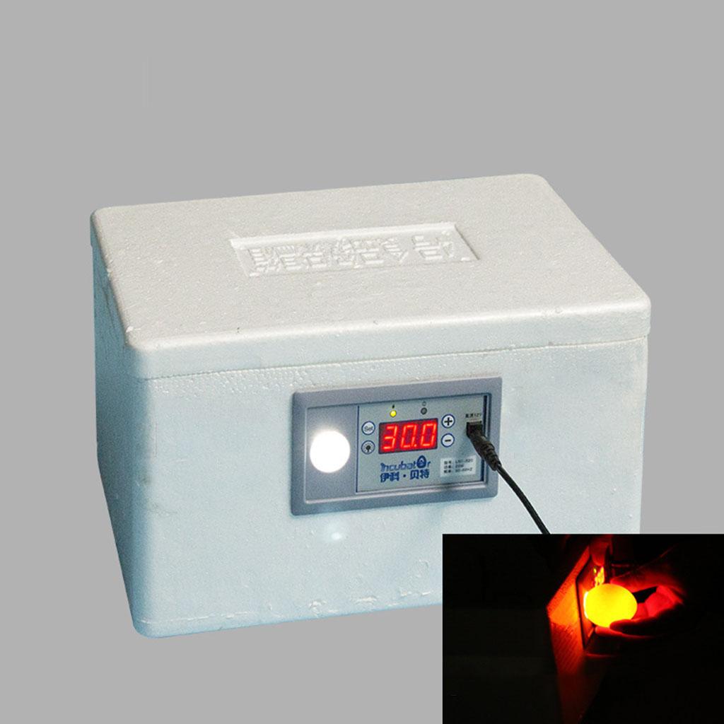 Incubadora automática de ovos  - Quail Egg Incubator avaliação e preço