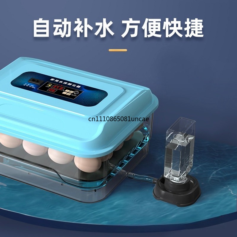 Incubadora Inteligente de Ovos - Quail Egg Incubator avaliação e preço