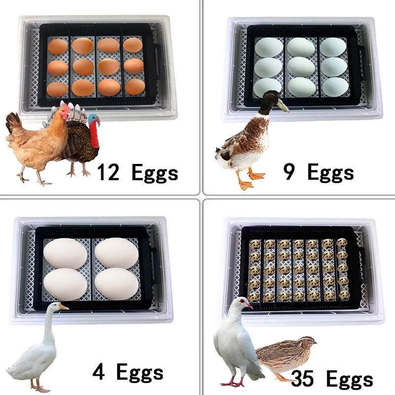 Hhd automático melhor digital  - Quail Egg Incubator avaliação e preço