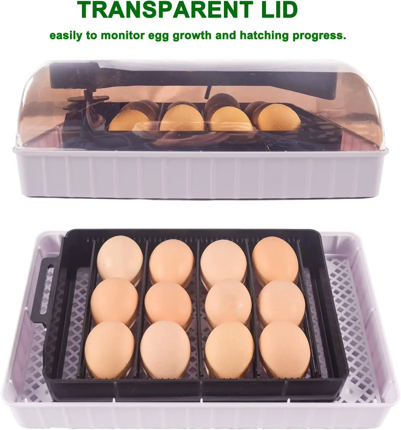 Hhd automático melhor digital  - Quail Egg Incubator avaliação e preço