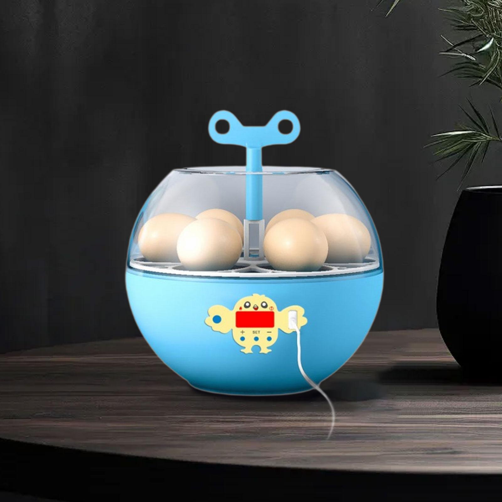 Incubadora Mini Visível para 6 - Quail Egg Incubator avaliação e preço