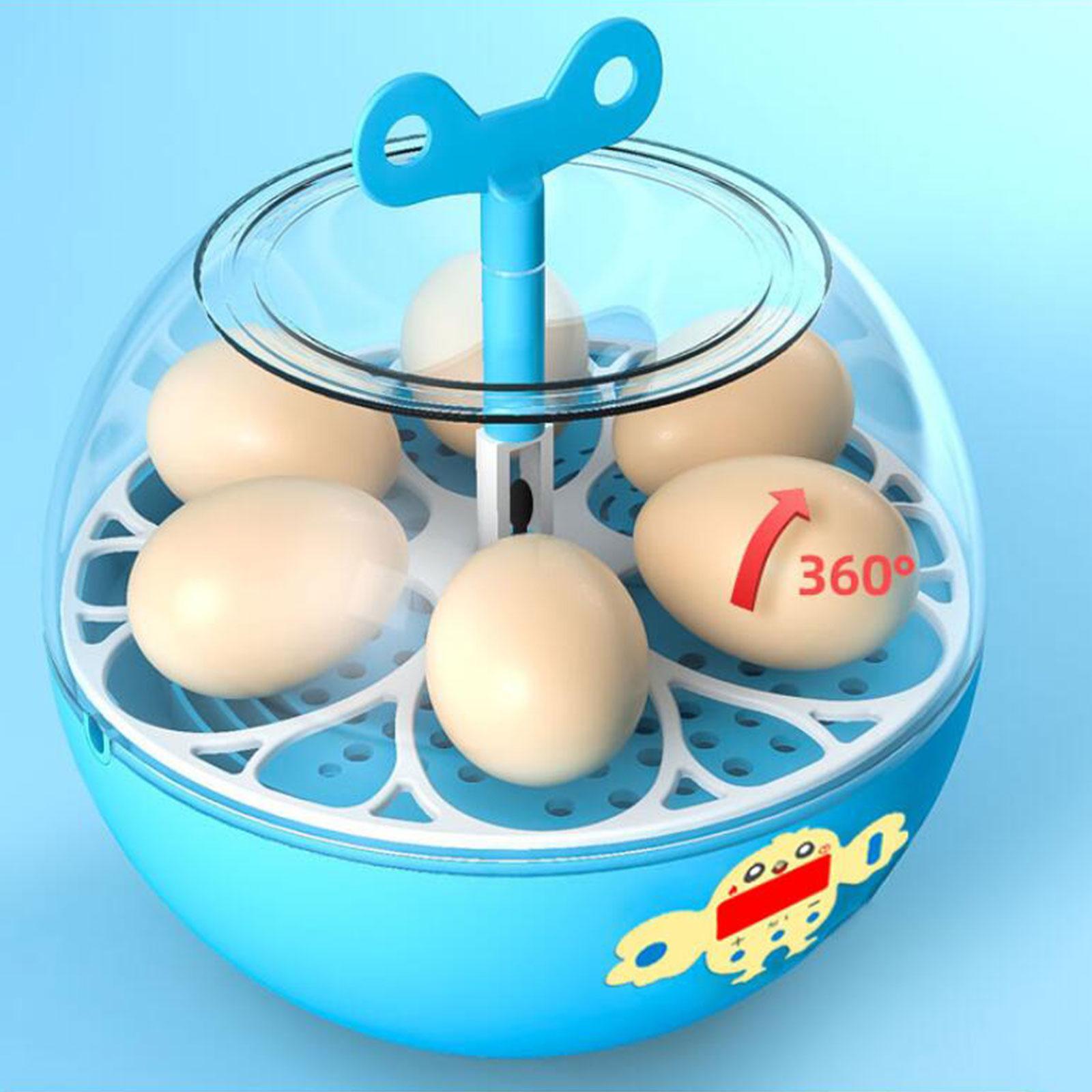 Incubadora Mini Visível para 6 - Quail Egg Incubator avaliação e preço