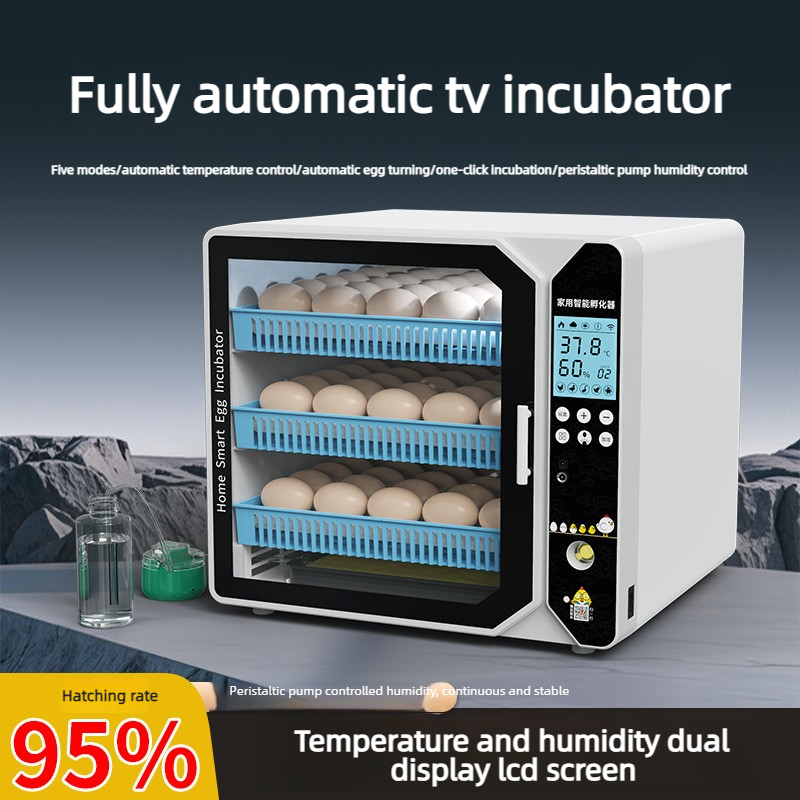 Incubadora Inteligente, Caixa  - Quail Egg Incubator avaliação e preço