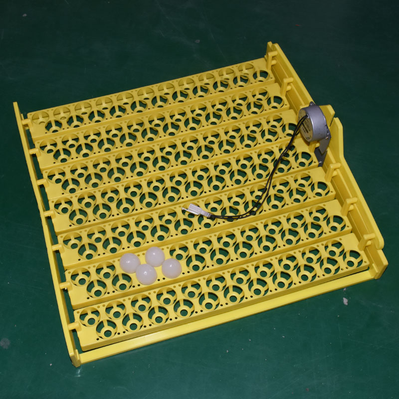 Giro automático Egg Incubadora - Quail Egg Incubator avaliação e preço
