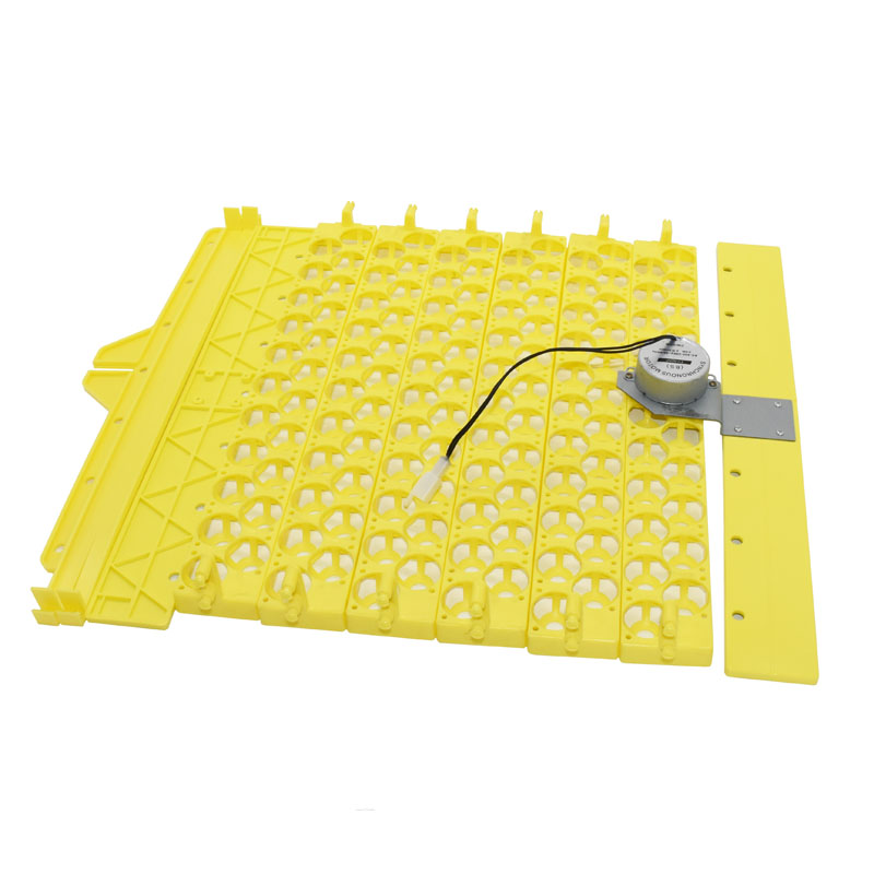Giro automático Egg Incubadora - Quail Egg Incubator avaliação e preço