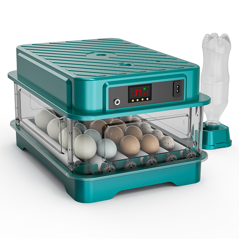 Incubadora de Ovos Totalmente  - Quail Egg Incubator avaliação e preço