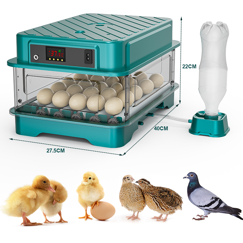 Incubadora de Ovos Totalmente  - Quail Egg Incubator avaliação e preço