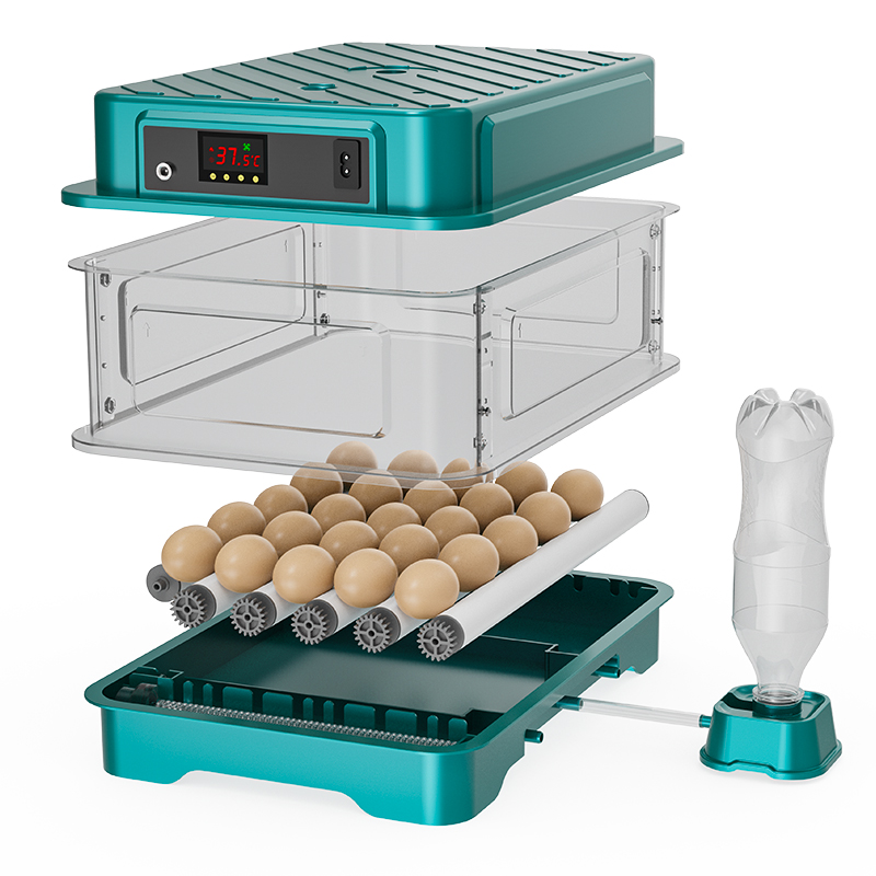 Incubadora de Ovos Totalmente  - Quail Egg Incubator avaliação e preço
