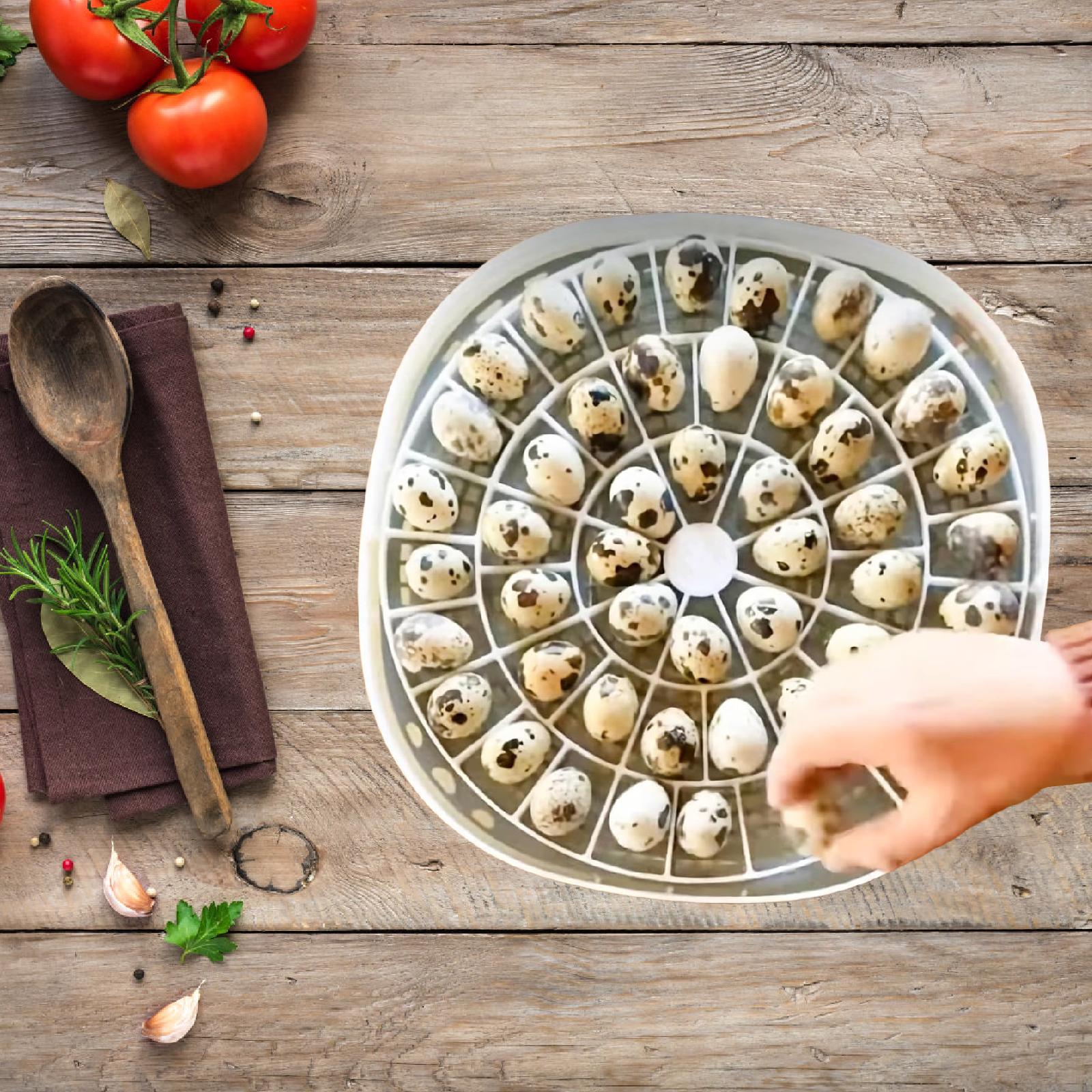 Bandeja pequena para ovos de c - Quail Egg Incubator avaliação e preço