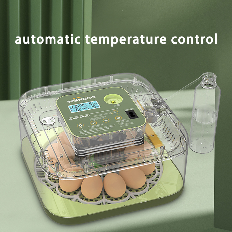 Novo 12 máquina de incubação d - Quail Egg Incubator avaliação e preço