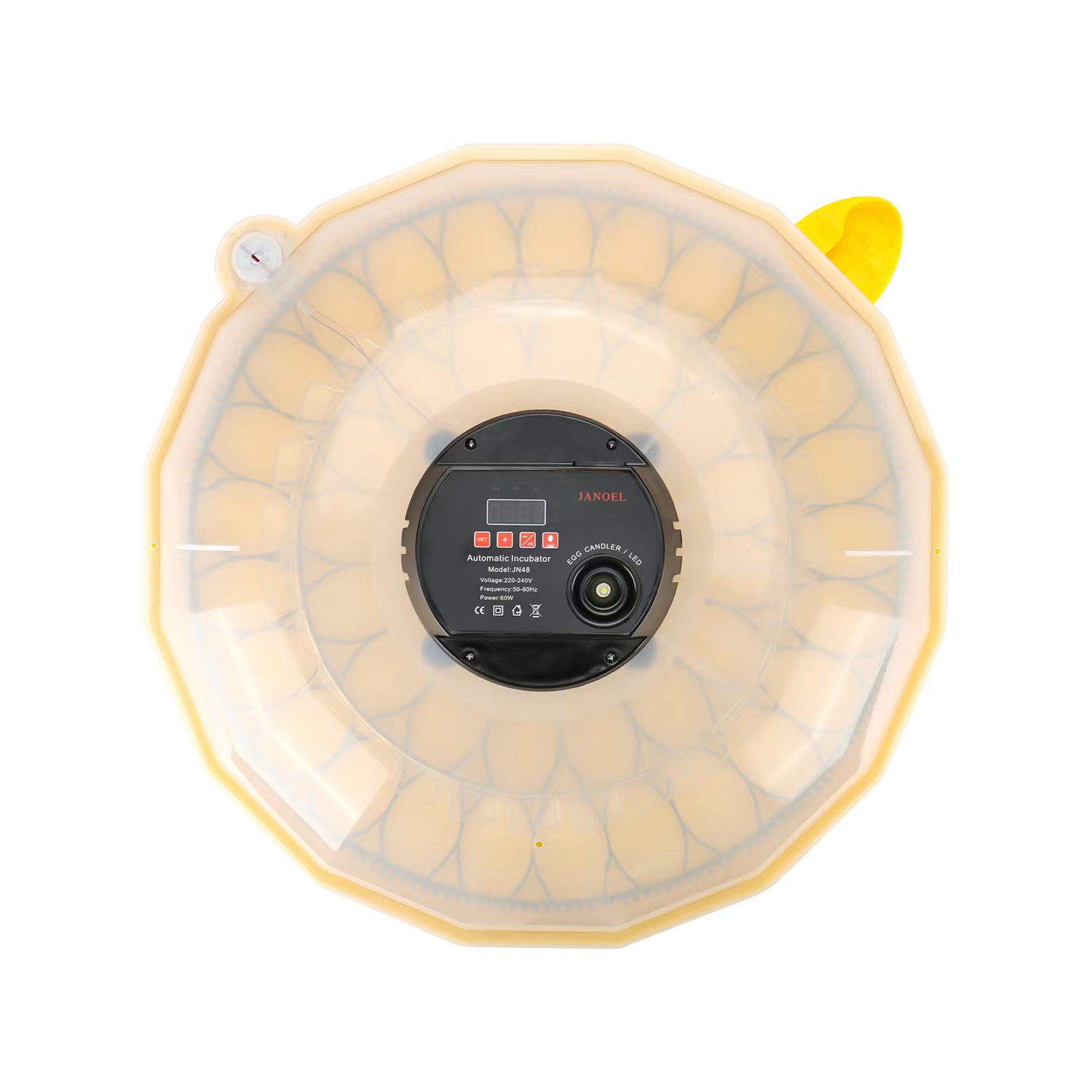 Mini Incubadora de Ovos com Ta - Quail Egg Incubator avaliação e preço