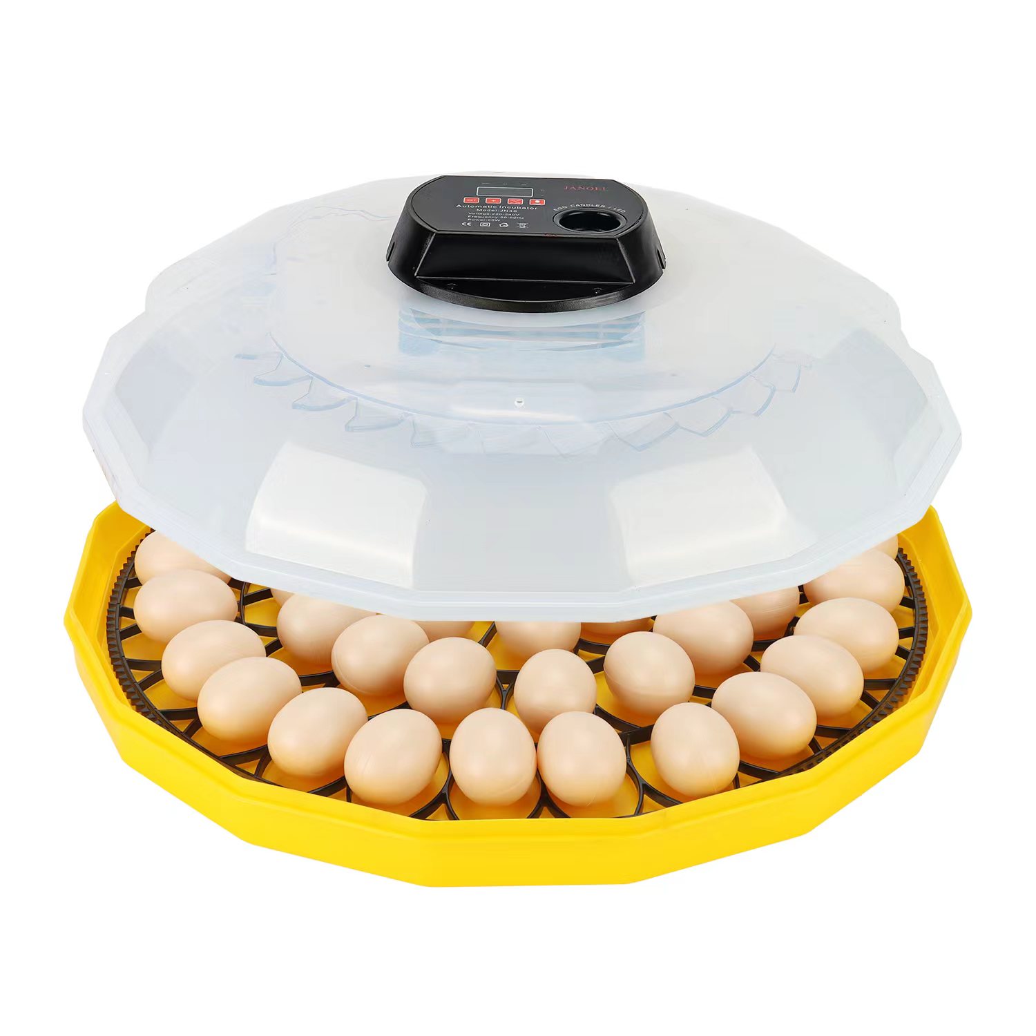 Mini Incubadora de Ovos com Ta - Quail Egg Incubator avaliação e preço