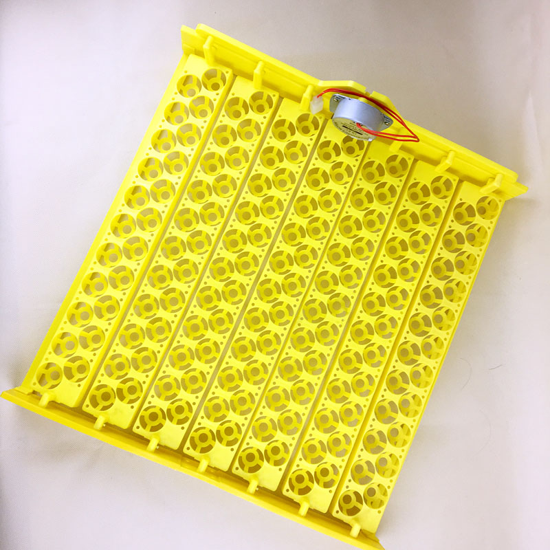 Poultry Plastic Máquina de inc - Quail Egg Incubator avaliação e preço