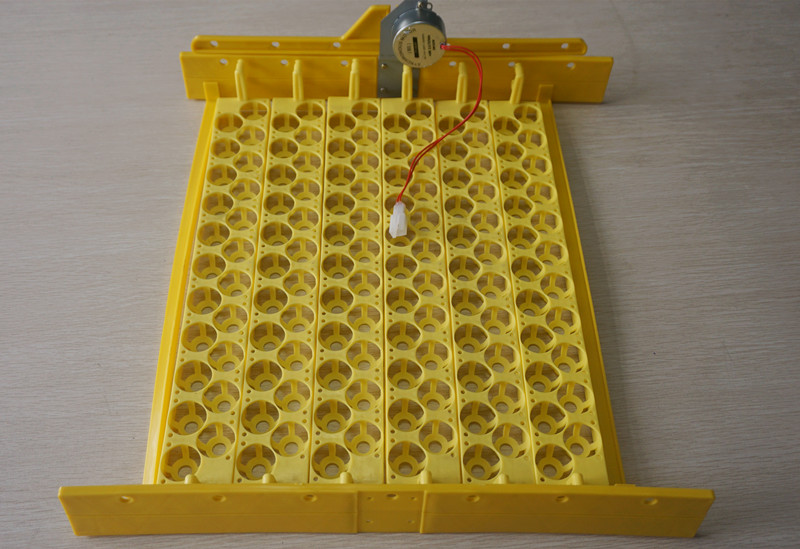 Poultry Plastic Máquina de inc - Quail Egg Incubator avaliação e preço