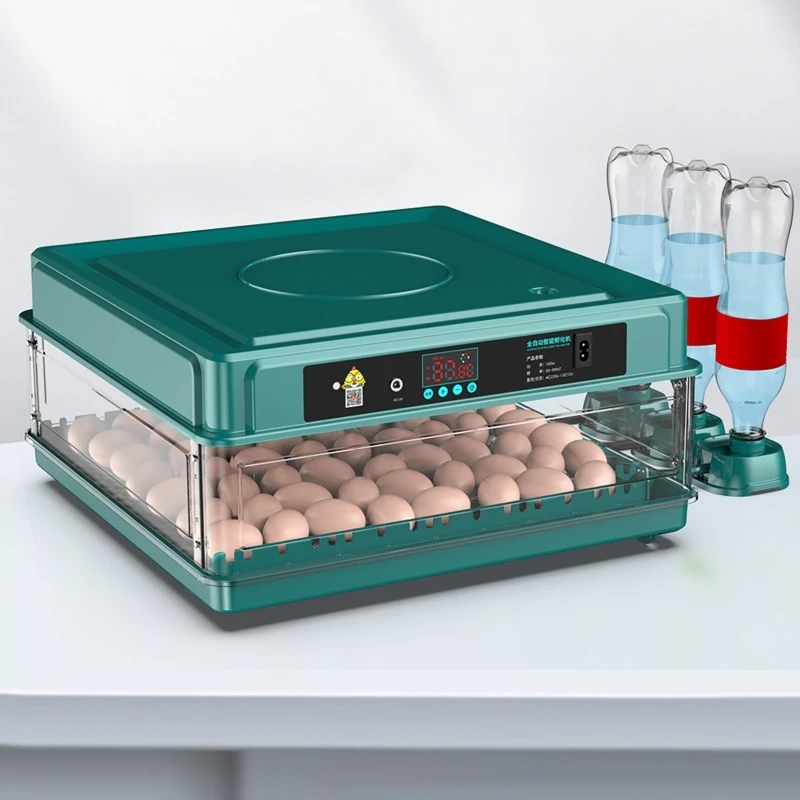 Auto Incubadora de Ovos com Co - Quail Egg Incubator avaliação e preço