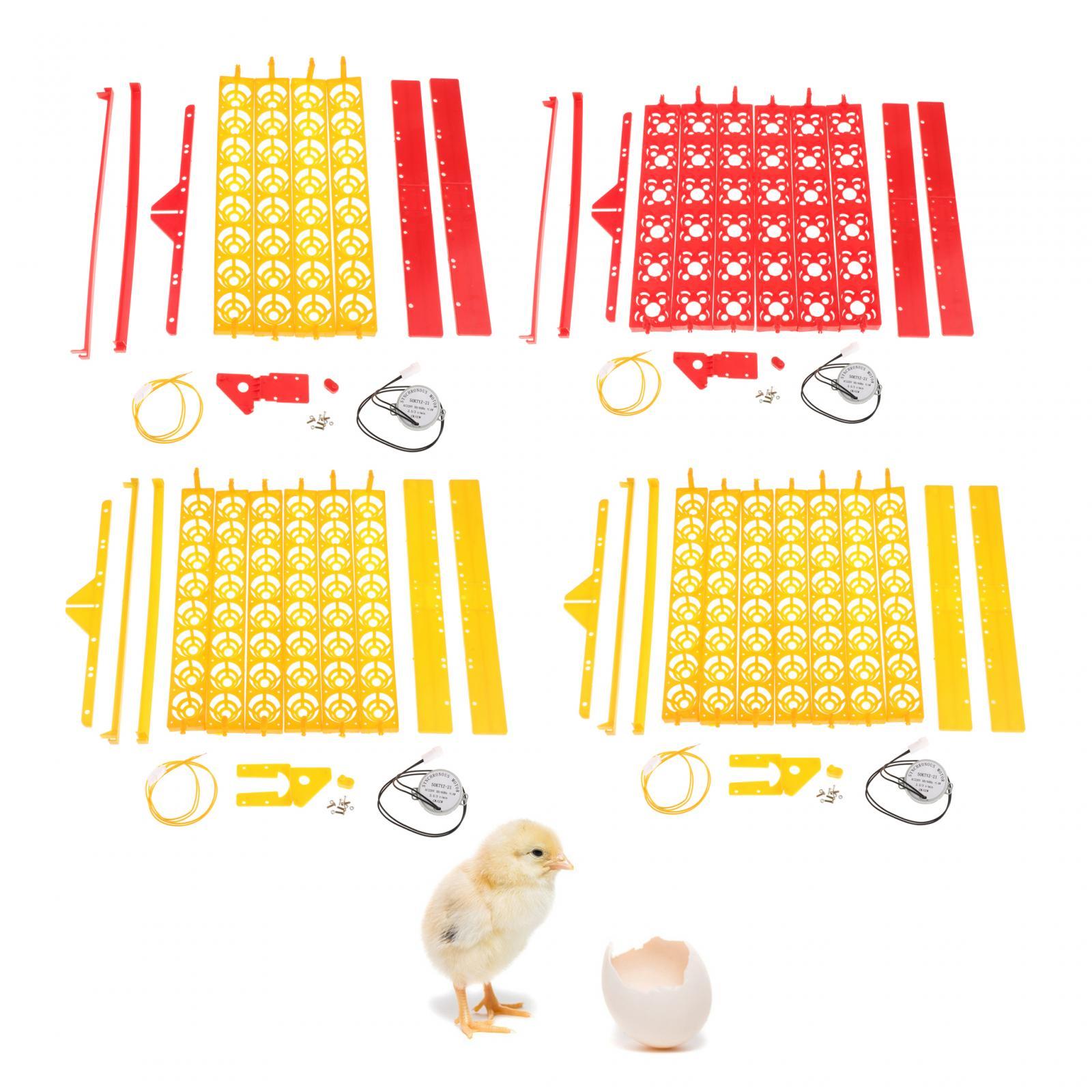 Bandeja Plástica para Incubado - Quail Egg Incubator avaliação e preço